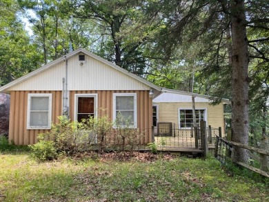 Lake Home Sale Pending in Mountain, Wisconsin