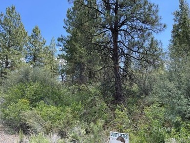 Lovely parcel in a very desirable area of Oregon Shores. This - photo 4