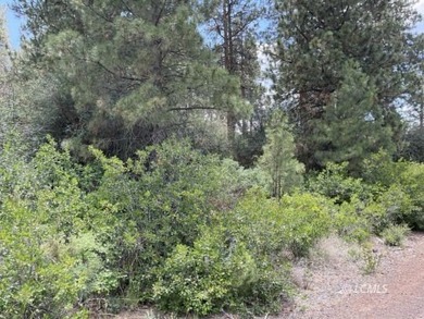 Lovely parcel in a very desirable area of Oregon Shores. This - photo 5