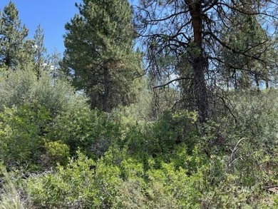 Lovely parcel in a very desirable area of Oregon Shores. This - photo 6