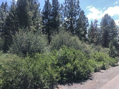 Lovely parcel in a very desirable area of Oregon Shores. This - photo 8