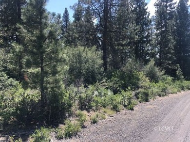 Lovely parcel in a very desirable area of Oregon Shores. This - photo 10