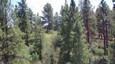 Lake Lot For Sale in Chemult, Oregon