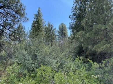 Lovely parcel in a very desirable area of Oregon Shores. This - photo 5
