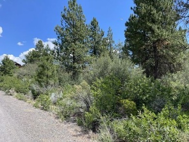 Lovely parcel in a very desirable area of Oregon Shores. This - photo 8