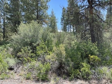 Lovely parcel in a very desirable area of Oregon Shores. This - photo 9