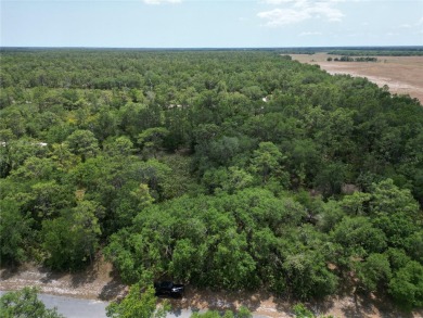 Lake Lot For Sale in Indian Lake Estates, Florida