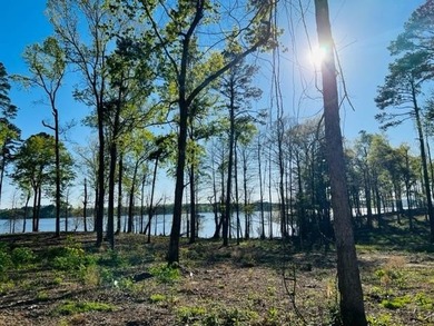 If you are looking for a great view with easy access to Toledo - photo 2