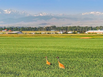 Discover this picturesque legacy farm located just outside of - photo 4