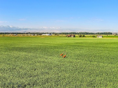 Discover this picturesque legacy farm located just outside of - photo 6