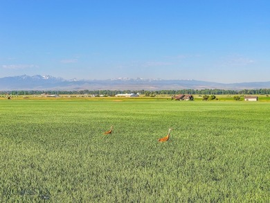 Discover this picturesque legacy farm located just outside of - photo 7