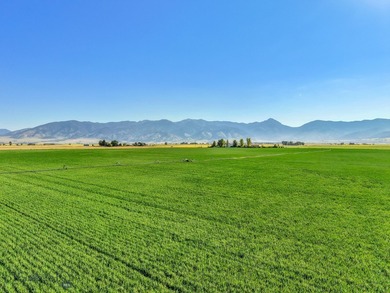 Discover this picturesque legacy farm located just outside of - photo 8