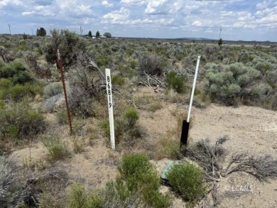 Christmas Valley Lake Lot For Sale in Christmas Valley Oregon