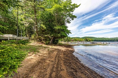 Located on 192 feet of frontage on picturesque Big Moose Lake - photo 8