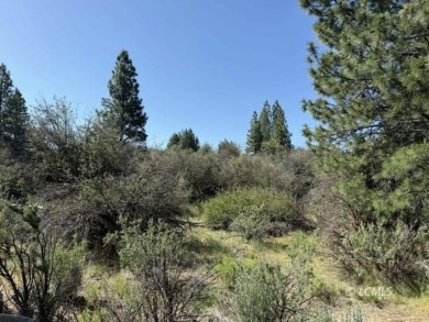 Lake Acreage For Sale in Chiloquin, Oregon