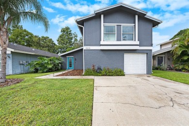 Lake Home For Sale in Tampa, Florida