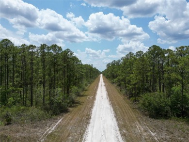 Lake Lot For Sale in Indian Lake Estates, Florida
