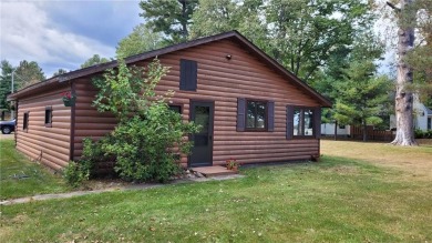 Lake Home For Sale in Pine River, Minnesota