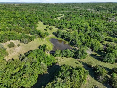 Now offered with mineral production owned by seller included - photo 11