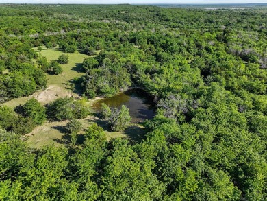 Now offered with mineral production owned by seller included - photo 12