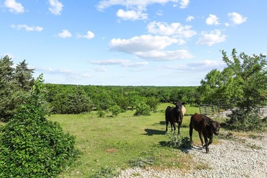 Now offered with mineral production owned by seller included - photo 18