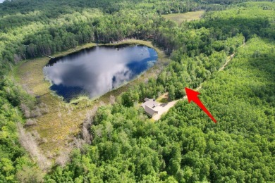 Lake Mary - Vilas County Lot For Sale in Cloverland Wisconsin