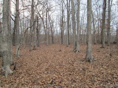 Lake Thunderbird Acreage Active Under Contract in Saint Clair Missouri