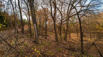 Now offered with mineral production owned by seller included - photo 21