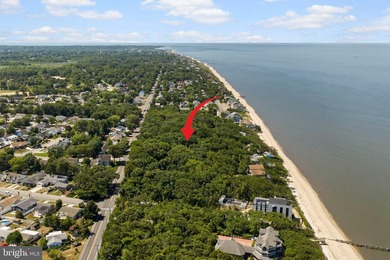 Welcome to your private coastal sanctuary! Tucked away on a - photo 3
