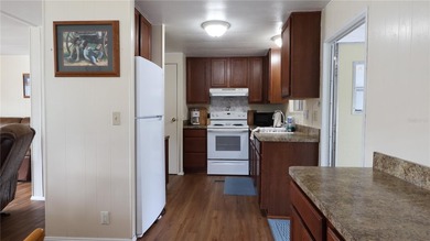 Welcome to 1158 CR 439 in Lake Panasoffkee, a property that - photo 8