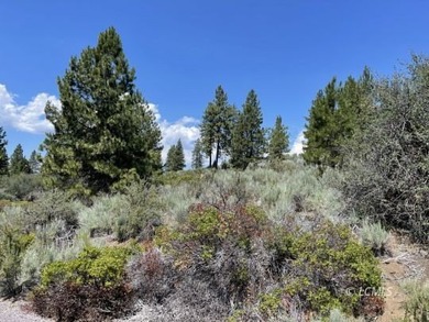 Agency Lake Lot For Sale in Chiloquin Oregon