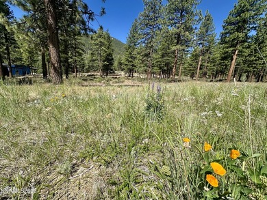 Easy to build .87-acre parcel backing to dedicated open space - photo 1