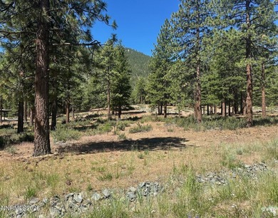 Easy to build .87-acre parcel backing to dedicated open space - photo 2