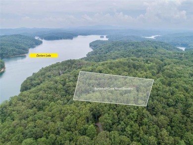 Lake Lot For Sale in Ellijay, Georgia