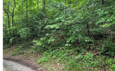 Lake Lot For Sale in Hayesville, North Carolina