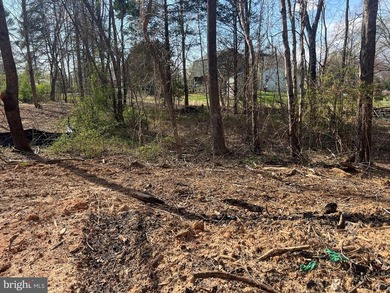 1.2-acre lot in Aspen Hill on the private side of Lake Anna with - photo 8