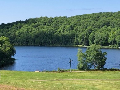 Lake Lot For Sale in Upson, Wisconsin