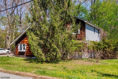 Exceptional opportunity to renovate, restore, or completely - photo 12