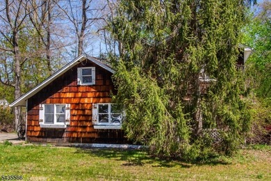 Exceptional opportunity to renovate, restore, or completely - photo 13