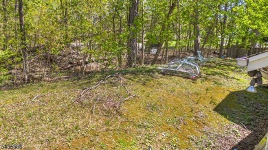 Exceptional opportunity to renovate, restore, or completely - photo 21