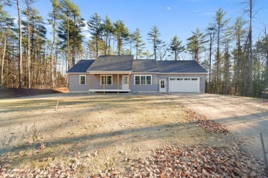 Lake Home For Sale in Limerick, Maine