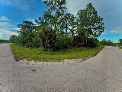 Lehigh Acres Area Lot For Sale in Lehigh Acres Florida
