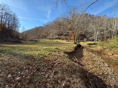 Lake Acreage For Sale in Shock, West Virginia