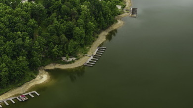 Beautiful Nolin Lake Property With Acreage, Pond, and Dock - photo 7