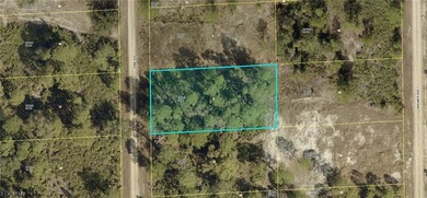 Lehigh Acres Area Lot For Sale in Lehigh Acres Florida