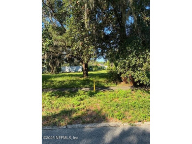 St. Johns River Lot For Sale in Green Cove Springs Florida