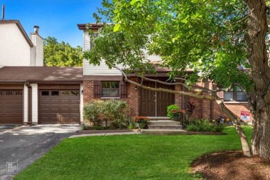 Lake Townhome/Townhouse Sale Pending in Naperville, Illinois