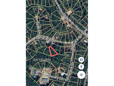 Lake Sam Rayburn  Lot For Sale in Brookeland Texas