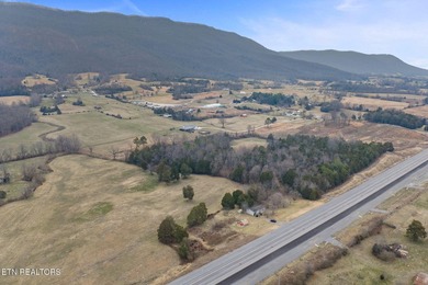 Investment Opportunity on 1.5 Acres - 6555 General Carl Steiner - photo 11