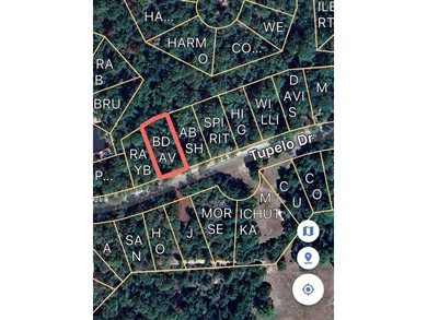 Lake Sam Rayburn  Lot For Sale in Brookeland Texas